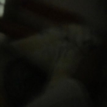 Yapı Kredi Bankası Hisse Senedi Bakım Ücreti Adı Altında Kesilen Para İadesi