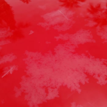 İnfinity By Yelken Aquapark & Resorts Sorumsuzluğu