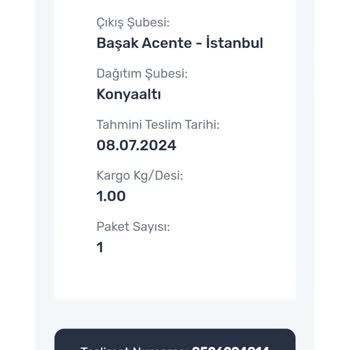 İki Telli Sürat Kargo Kargomun Gönderilmesi