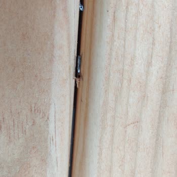 Pişman Olmak İstiyorsan, Heyecan Arıyorsan, Yazgan Masa Sandalye