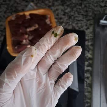 A101 Den Aldığım Erpiliç Tavuk Ciğer Yeşil Küflenmiş Gibi