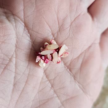 Tat Bakliyat Tat Pirinçte Kırmızı Boyalı Pirinçler Var