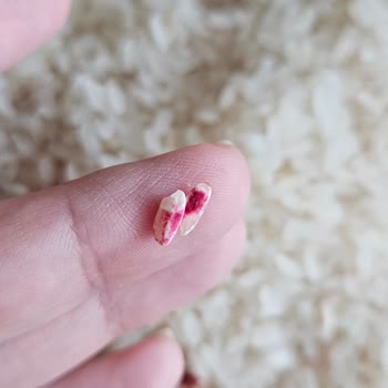 Tat Bakliyat Tat Pirinçte Kırmızı Boyalı Pirinçler Var