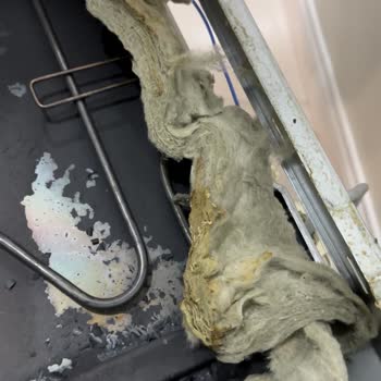 Siemens Kusurlu Ocak Ve Yetkili Servis, Müşteri Hizmetleri Pişmanlığı!