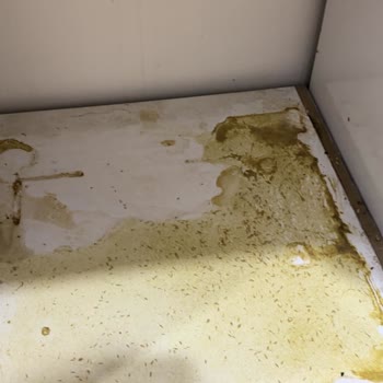 Siemens Kusurlu Ocak Ve Yetkili Servis, Müşteri Hizmetleri Pişmanlığı!