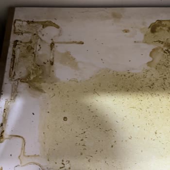 Siemens Kusurlu Ocak Ve Yetkili Servis, Müşteri Hizmetleri Pişmanlığı!