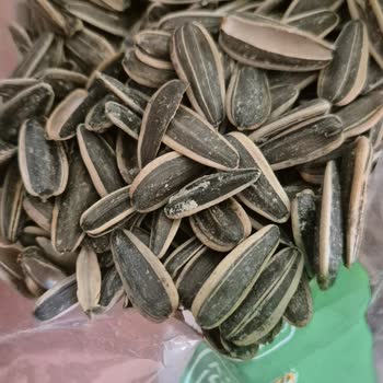 Tarım Kredi Kooperatif Market Çekirdek Faciası