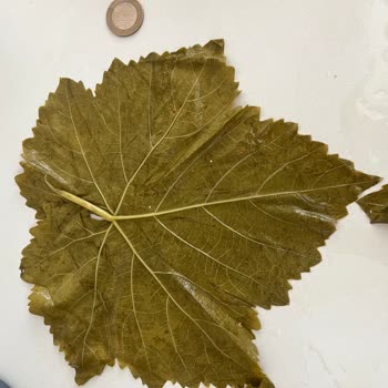 Yasmin Doğal (ege_salamur_) Sosyal Medya Üzerinden Hatalı Ürün Teslimi