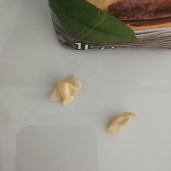 Aroma Meyve Suları Aroma Meyva Suları Firması Şikayet