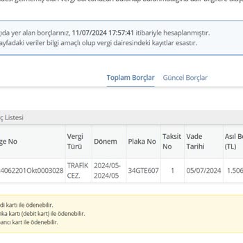 Gelir İdaresi Başkanlığı Farklı Plaka Cezası