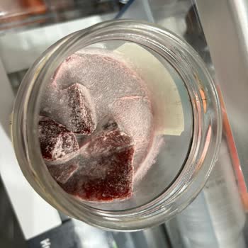 Bosch KGN86AID2N Refrigerator Not Cooling