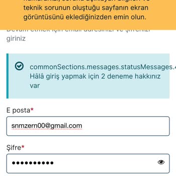 VFS Global Polonya Vize Randevusu Ve Giriş Sorunu