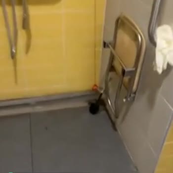 Kocaeli Şehir Hastanesi Temizlik Sorunu Mu Mevcut?