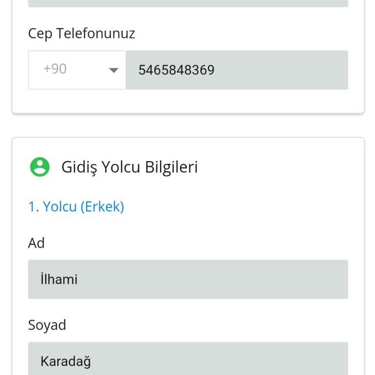 Enuygun.com İstanbul Yolculuğu İçin Bilet Sorunu