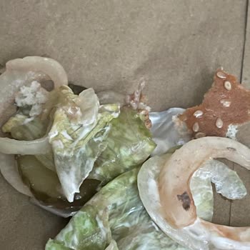 Trendyol Burger King Bayat Ürün Şikayeti