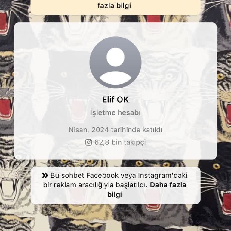 WhatsApp İşletme Hesabı Şikayeti