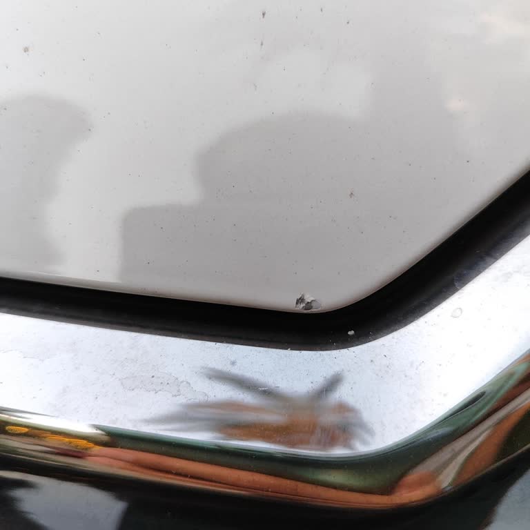 Citroen C3 Aircros Boya Atması İlk Günden