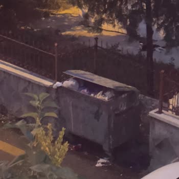 Etimesgut Belediyesi Etimesgut Çöp Sorunu