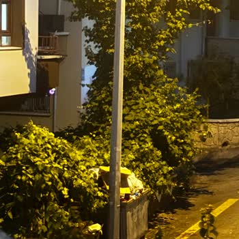 Etimesgut Belediyesi Etimesgut Çöp Sorunu