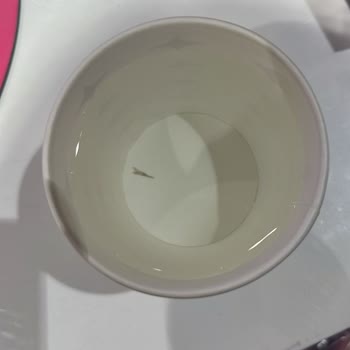 Vestel Su Sebili Yeni Olmasına Rağmen İçinden Plastik Parçalar Çıkıyor!