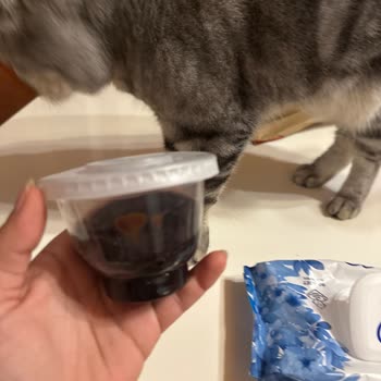 Burger King Ne Olduğu Belli Olmayan Tatlı