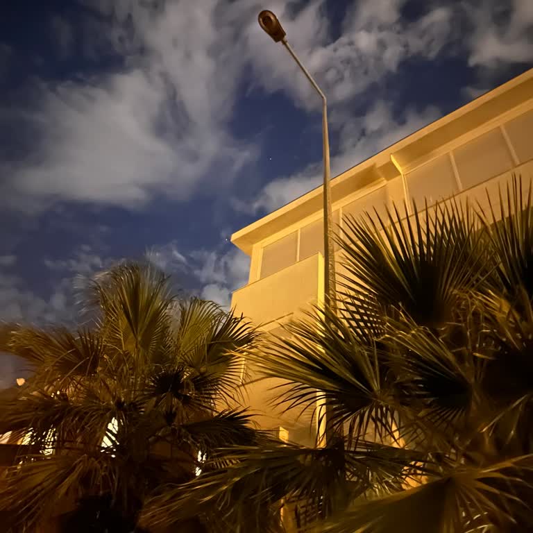 Akdeniz Elektrik Dağıtım Sokak Lambası Y