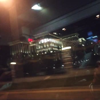 Kamil Koç Otobüsünde Köpeğe Çarpma Ve Hizmet Eksikliği