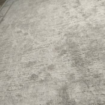 Artemis Halı Pişmanlığı Hayal Kırıklığı