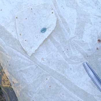 BİM Küflü Lavaş Satıyor