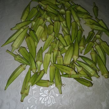 Çankaya Belediyesi İnsanları Neden Doğru Bir Şekilde Ürün Satılmıyor