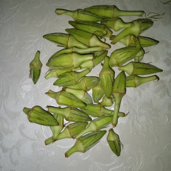 Çankaya Belediyesi İnsanları Neden Doğru Bir Şekilde Ürün Satılmıyor