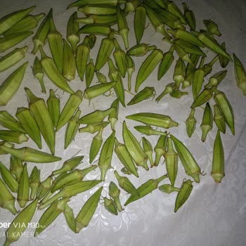 Çankaya Belediyesi İnsanları Neden Doğru Bir Şekilde Ürün Satılmıyor