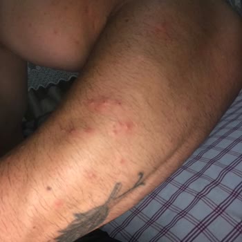 Veet Gerekli Mercilere Şikayette Bulunacağım