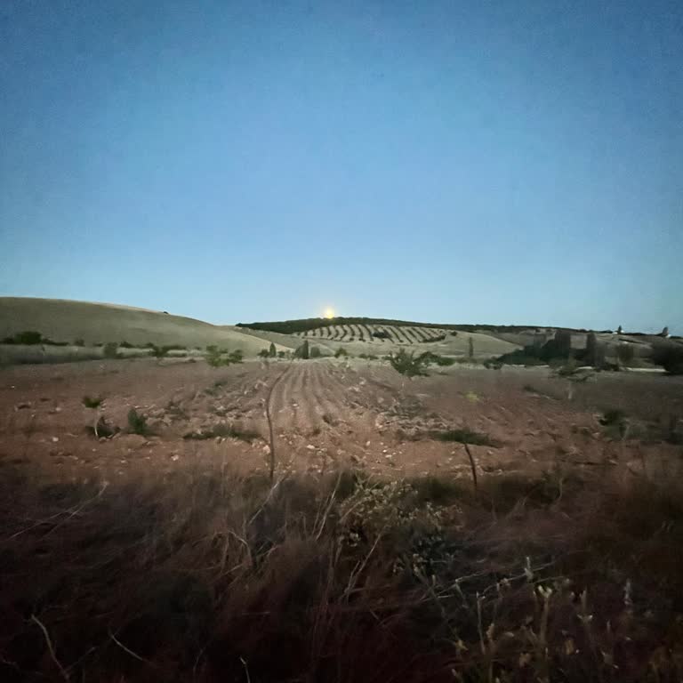 Awox Garanti Kapsamında Teslim Edilen Çaycı 3 Aydır Bekletiliyor