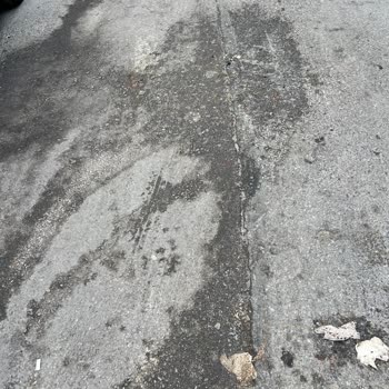 Maltepe Belediyesi Küçükyalı Merkez Mah Yıldırım Sok Çöp Kamyonu Park Ve Koku Sorunu