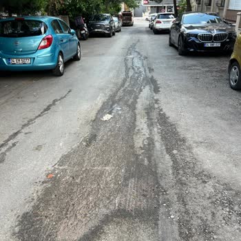 Maltepe Belediyesi Küçükyalı Merkez Mah Yıldırım Sok Çöp Kamyonu Park Ve Koku Sorunu