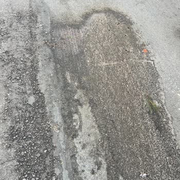 Maltepe Belediyesi Küçükyalı Merkez Mah Yıldırım Sok Çöp Kamyonu Park Ve Koku Sorunu