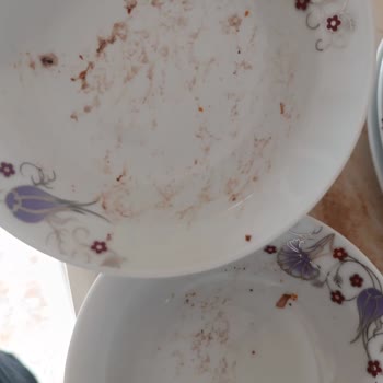 Vestel Wi-Fi Bulaşık Makinesi!