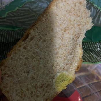 A101 Paketli Ekmekte Küf Sorunu