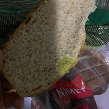 A101 Paketli Ekmekte Küf Sorunu