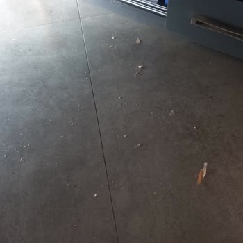 Şok Marketler Şok Marketin İlgisiz Mağaza Yöneticileri Ve Çözülemeyen Sorun