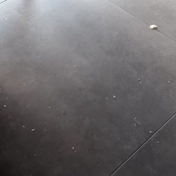 Şok Marketler Şok Marketin İlgisiz Mağaza Yöneticileri Ve Çözülemeyen Sorun