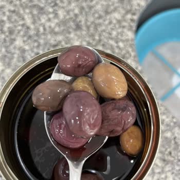 Fora Zeytin Fora Az Tuzlu Zeytin