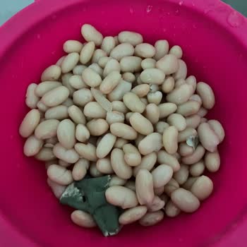 Duru Bulgur Duru Pratik Haşlanmış Fasulye'de Küf