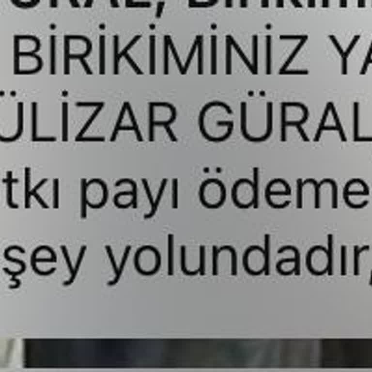 Allianz Hayat ve Emeklilik Allianz Tarafından Çekilen Param