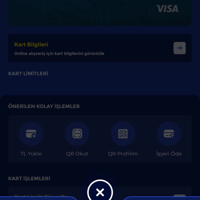 Fenerbahçe Spor Kulübü Cüzdan Hesap Sorunu