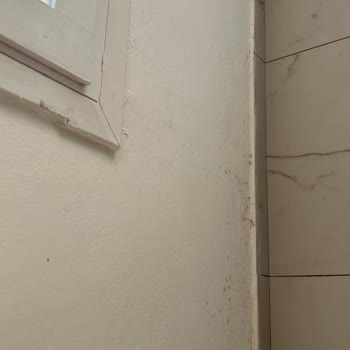 Club Çapa Hotel Şikayetçiyim