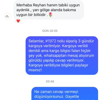 Es Plante Esplante Kargo Sorunu Ve Kaba Üslup