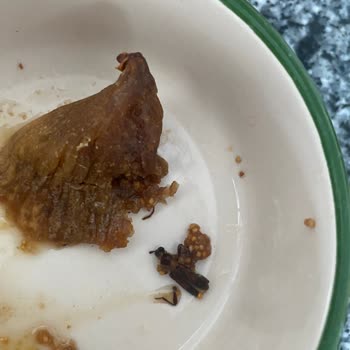 Amigo Marka Kuru İncir İçinden Böcek Çıktı