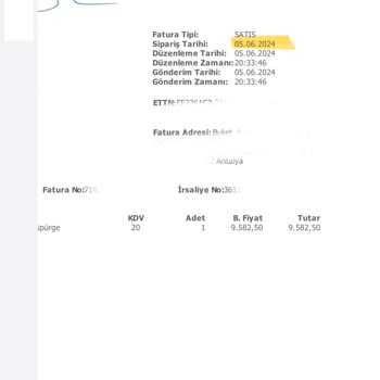 PHILIPS Ev Aletleri Philips Dikey Süpürge Elimde Kırıldı